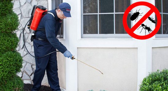 Nurdağı Pire İlaçlama böcek ilaçlama ve haşere kontrolü — ilaclama-tr.com